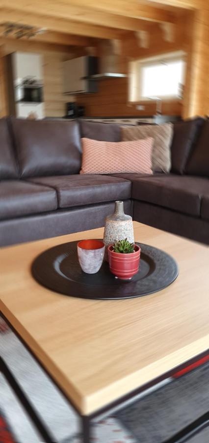 Chalet Luxe In Zeeland Aan De Kust